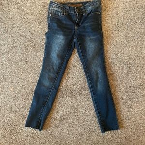 Joes Skinny Jeans